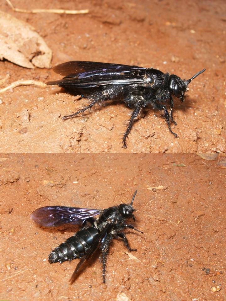 FIGURE 2 FIGURE 2
